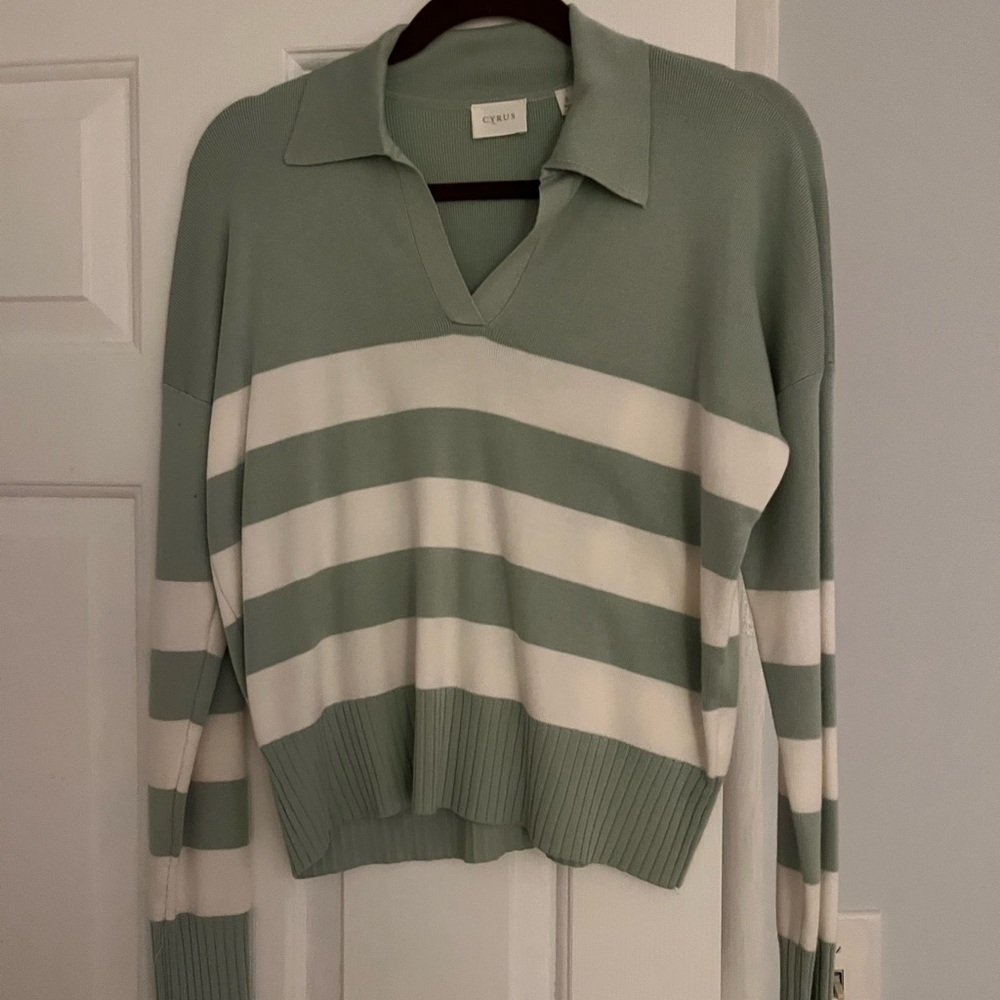 Cyrus Green and White V-Neck Sweater